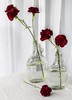 red carnations